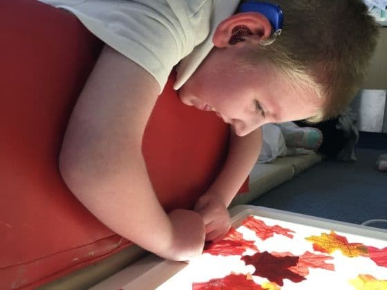 Autumn leaves on the light table