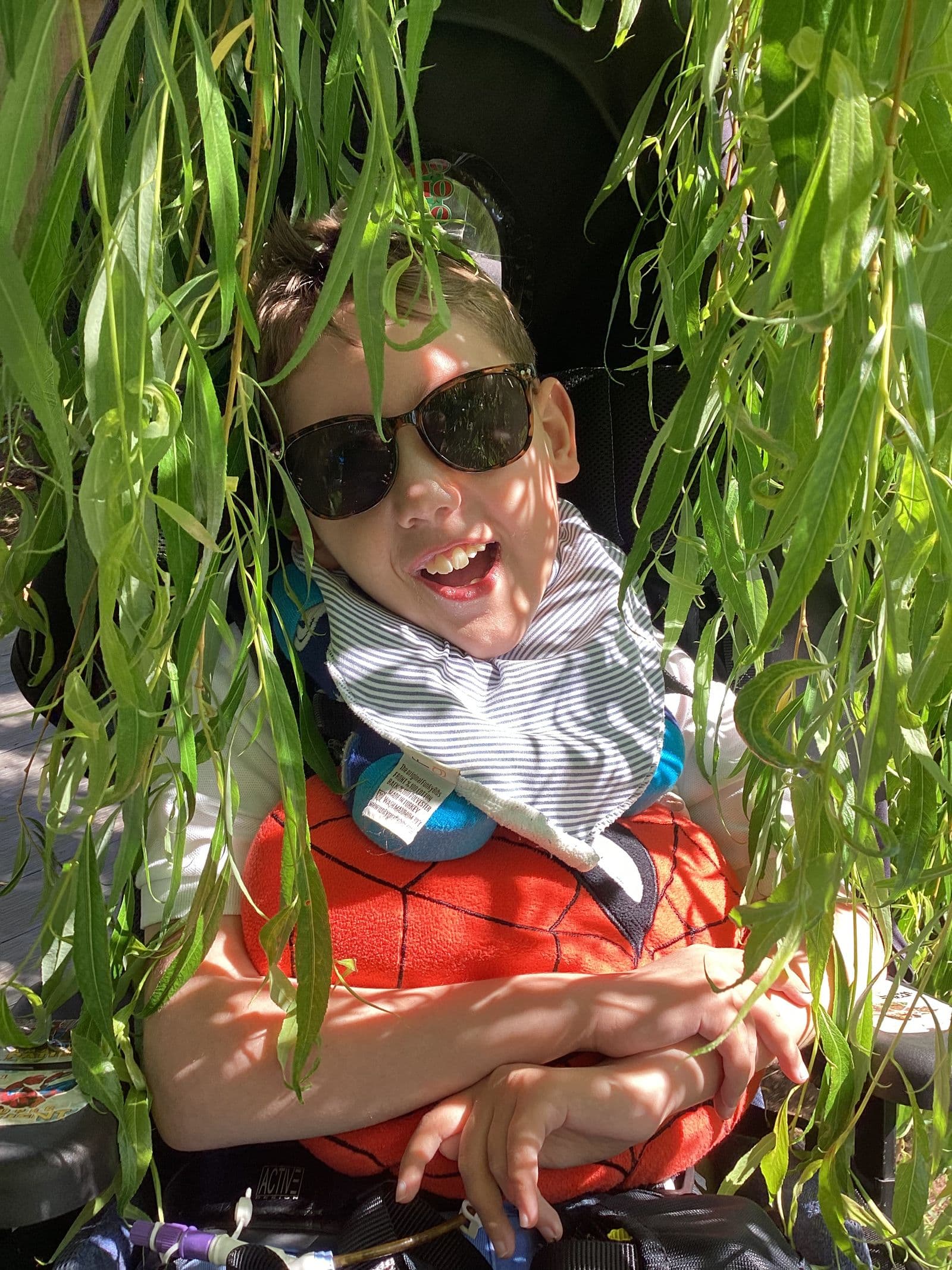Cool shades in the garden
