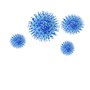 Coronavirus (COVID 19) Risk Assessment